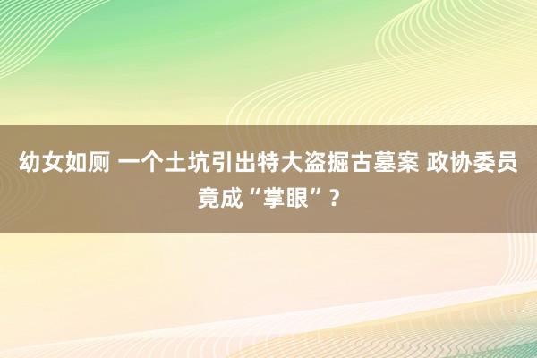 幼女如厕 一个土坑引出特大盗掘古墓案 政协委员竟成“掌眼”？