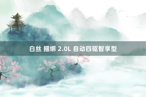 白丝 捆绑 2.0L 自动四驱智享型