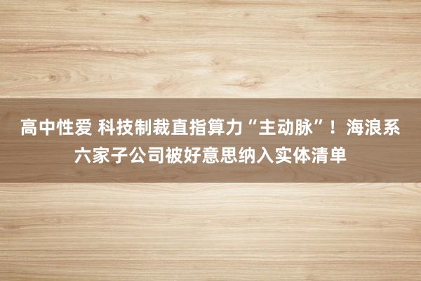 高中性爱 科技制裁直指算力“主动脉”！海浪系六家子公司被好意思纳入实体清单