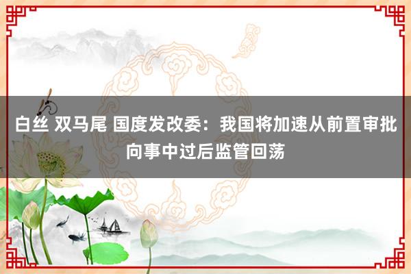 白丝 双马尾 国度发改委：我国将加速从前置审批向事中过后监管回荡