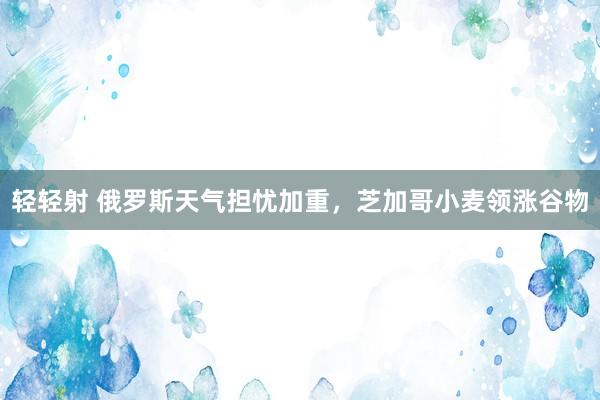 轻轻射 俄罗斯天气担忧加重，芝加哥小麦领涨谷物