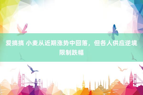 爱搞搞 小麦从近期涨势中回落，但各人供应逆境限制跌幅
