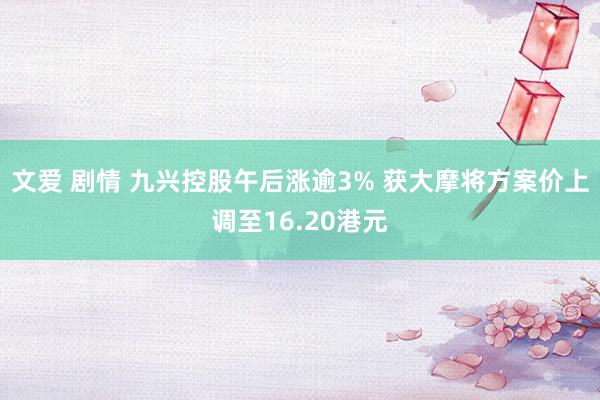 文爱 剧情 九兴控股午后涨逾3% 获大摩将方案价上调至16.20港元