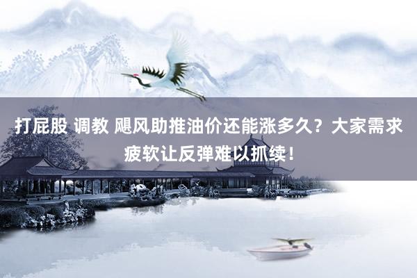 打屁股 调教 飓风助推油价还能涨多久？大家需求疲软让反弹难以抓续！