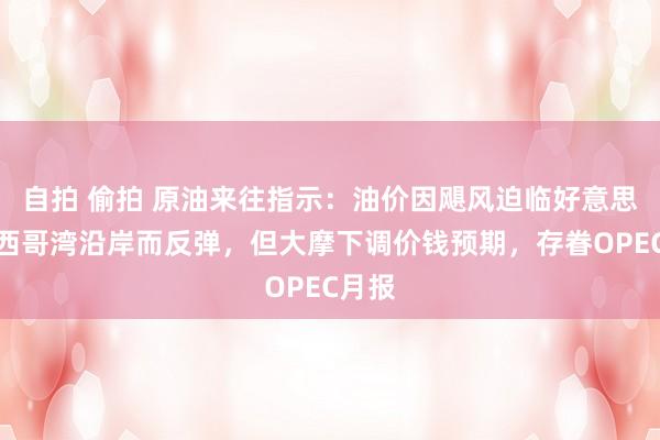 自拍 偷拍 原油来往指示：油价因飓风迫临好意思国墨西哥湾沿岸而反弹，但大摩下调价钱预期，存眷OPEC月报