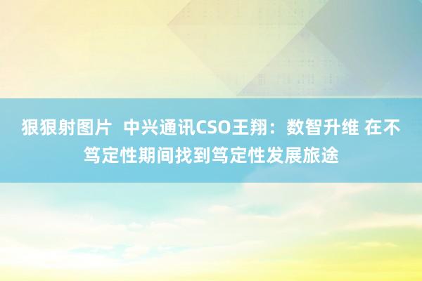 狠狠射图片  中兴通讯CSO王翔：数智升维 在不笃定性期间找到笃定性发展旅途
