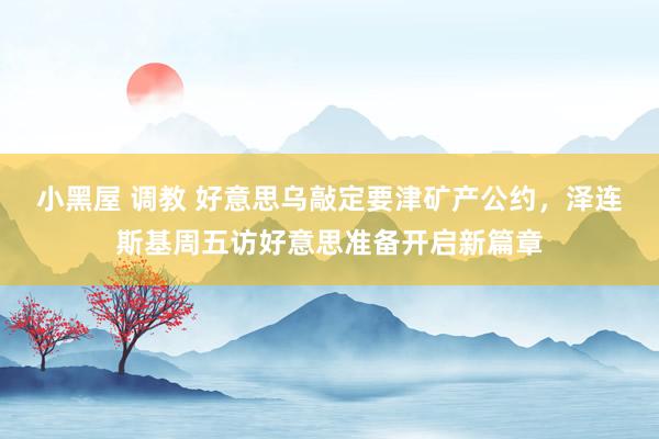 小黑屋 调教 好意思乌敲定要津矿产公约，泽连斯基周五访好意思准备开启新篇章